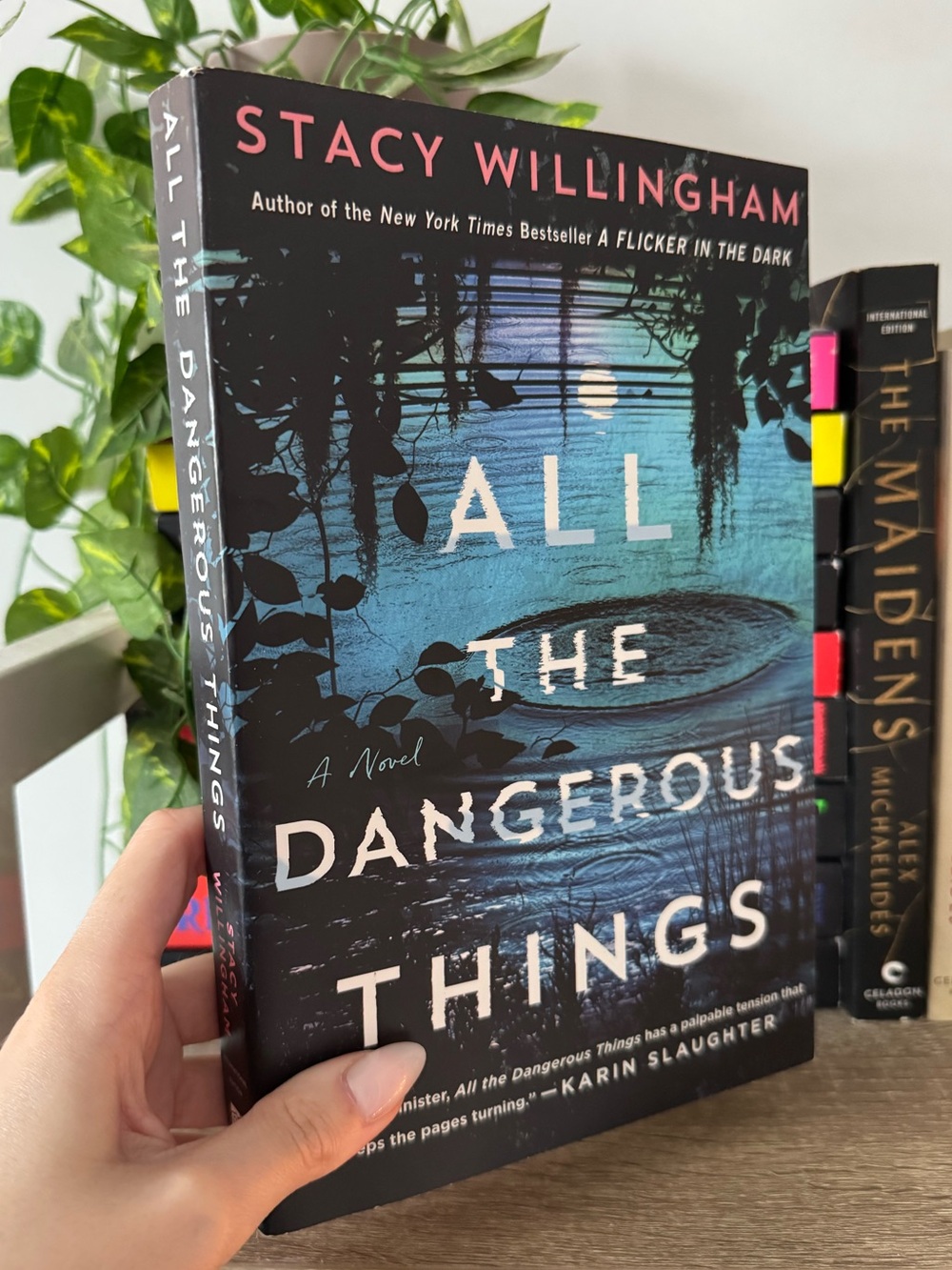All The Dangerous Things | Stacey Willingham | Thriller Adult Novel Suspense